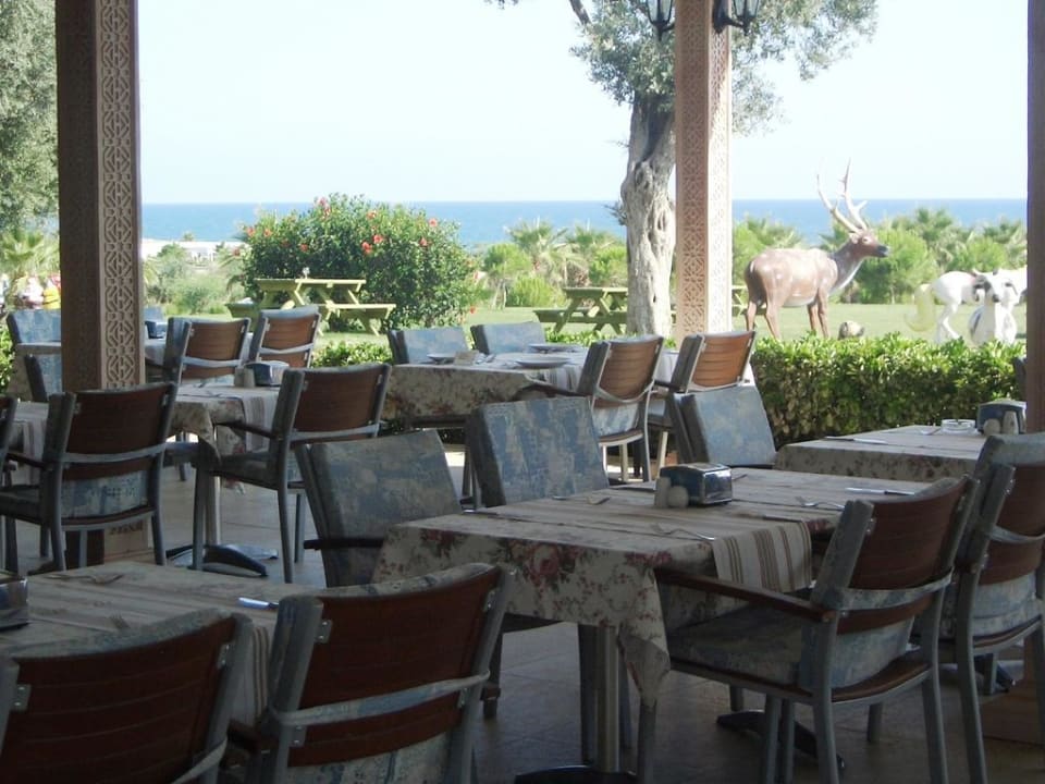 Terrasse des Restaurant mit Blick zum Meer Hotel Süral Resort