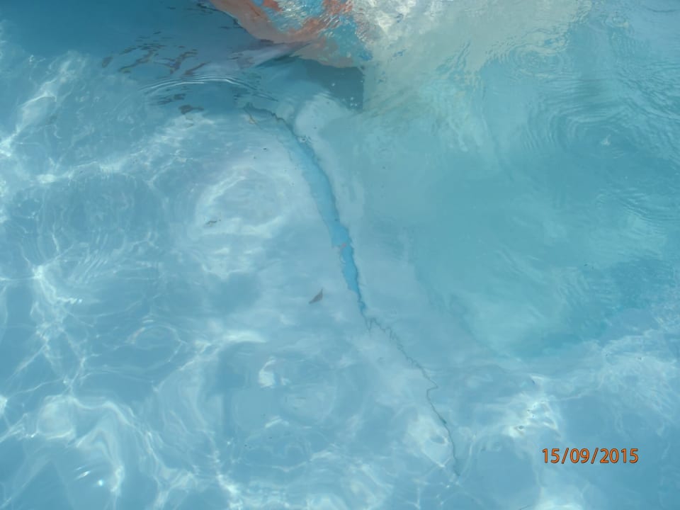 Pool Pickalbatros Jungle Aqua Park Resort - Neverland Hurghada