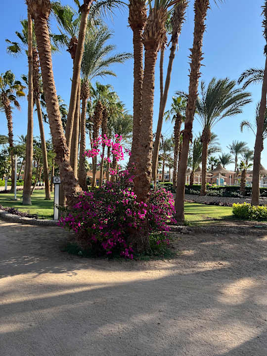 Sonstiges Giftun Azur Resort