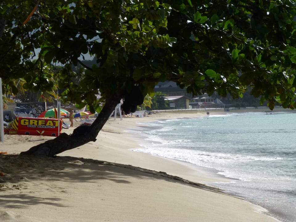 Strand wird jeden Tag sauber gehalten Bay Gardens Beach Resort