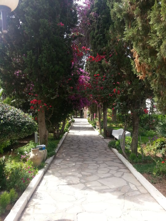 Weg zum Meerblickhaus The Orangers Beach Resort and Bungalows