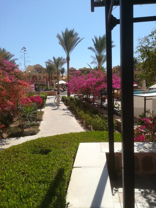 Gartenanlage Steigenberger Coraya Beach - Adults only