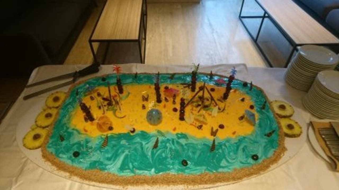 Restaurant HVD Viva Club Hotel