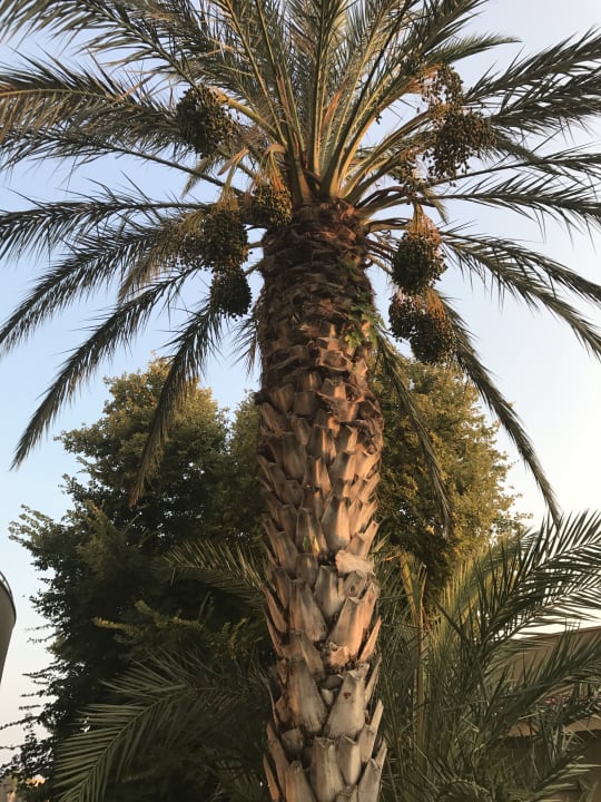 Gartenanlage Melas Holiday Village