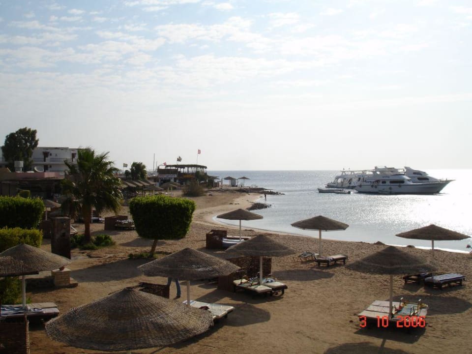 Strand & Co am frühen Morgen Eagles Paradise Abu Soma