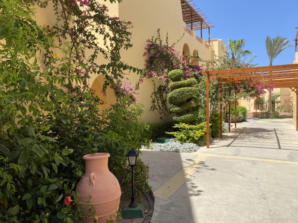 Gartenanlage Steigenberger Coraya Beach - Adults only