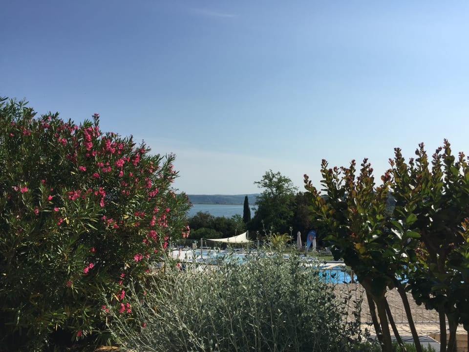 Gartenanlage Valamar Tamaris Resort - Casa Agava