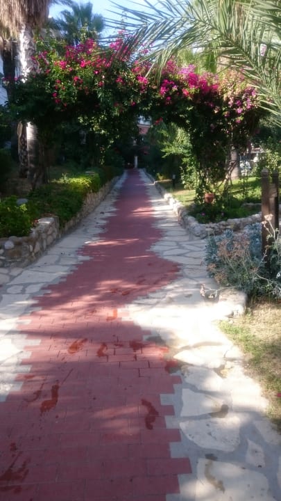 Gartenanlage Hotel Defne Garden