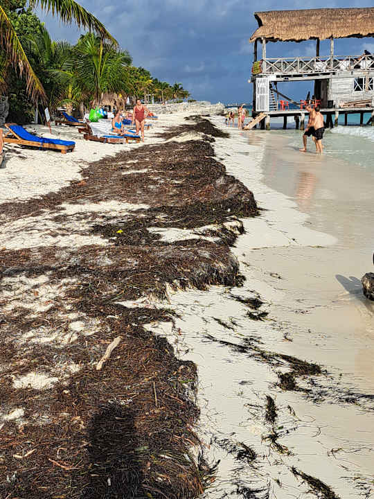 Strand Maya Caribe Beach House by Faranda Hotels