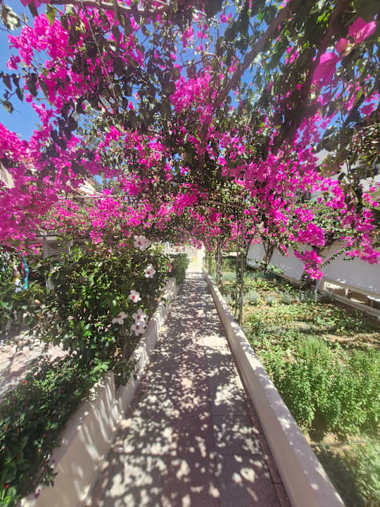 Gartenanlage Hydramis Palace Beach Resort