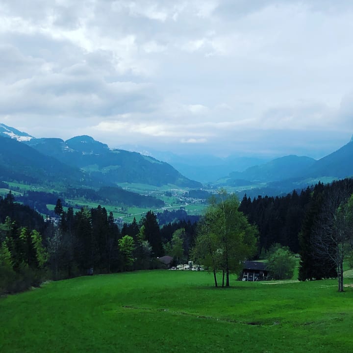 Ausblick Gasthof Pension Jägerwirt