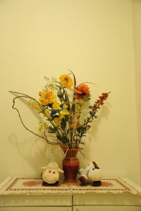 Dettagli curati Hotel Albergo Alla Costa