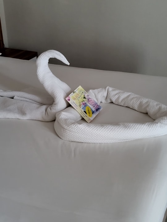 Zimmer Grand Seker Hotel