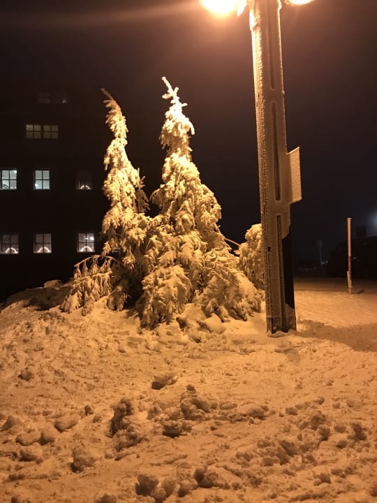 Garten Hotel Fichtelberghaus