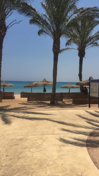 Strand Palm Royale Resort - Soma Bay