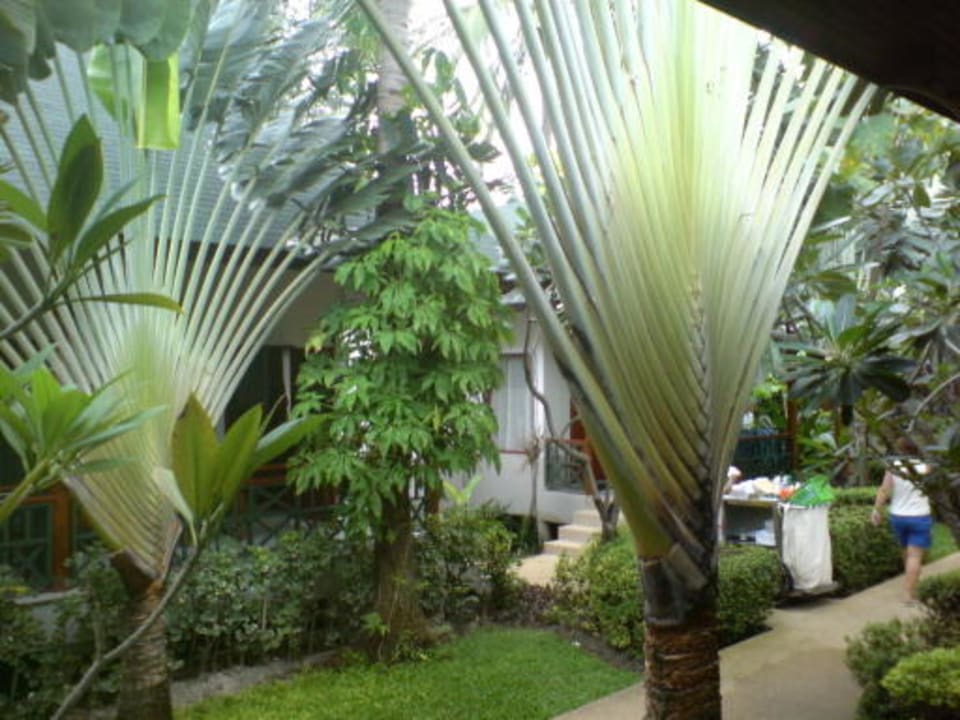 Anlage Banana Fan Sea Resort