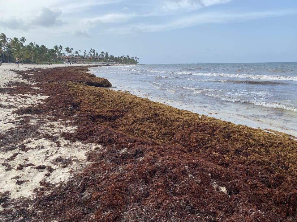 Strand Caribe Deluxe Princess
