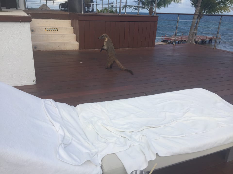 Sonstiges Blue Diamond Luxury Boutique Hotel