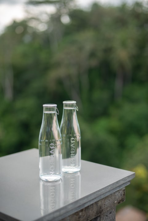 Gastro Viceroy Bali