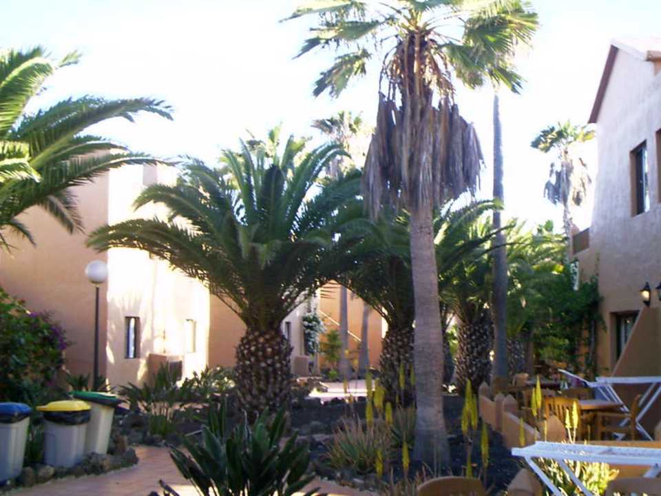 Weg zu den Appartements Hotel Oasis Dunas