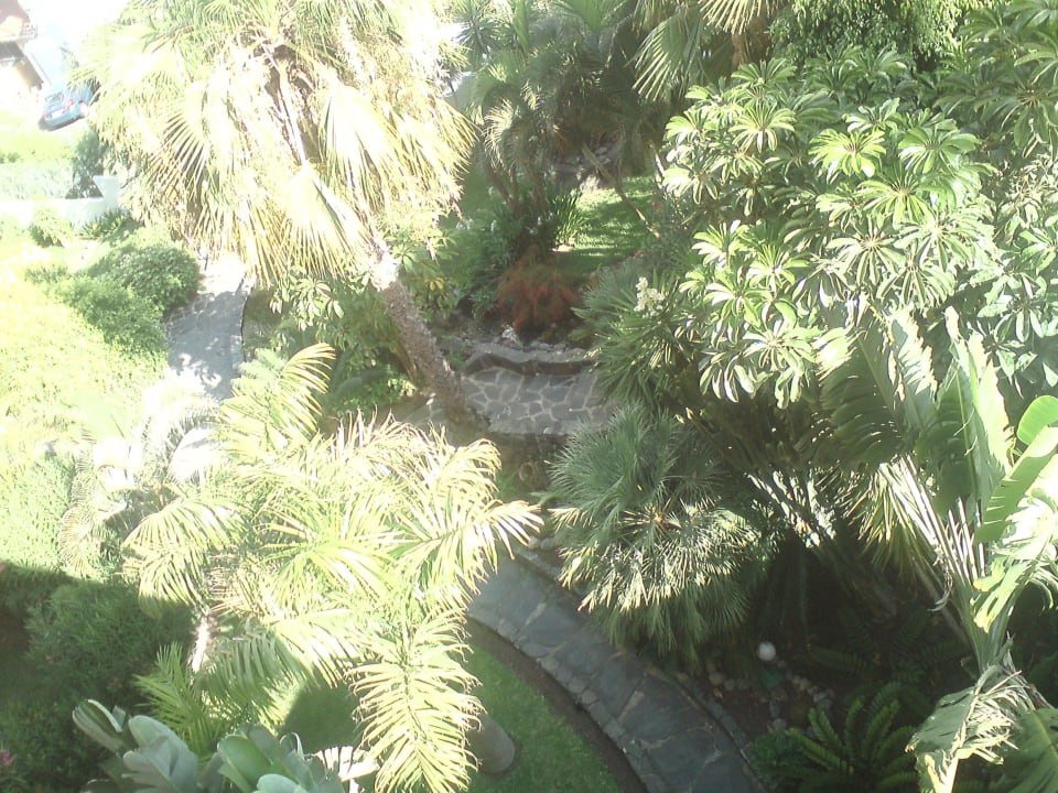 Schöner Garten allsun Hotel Lucana