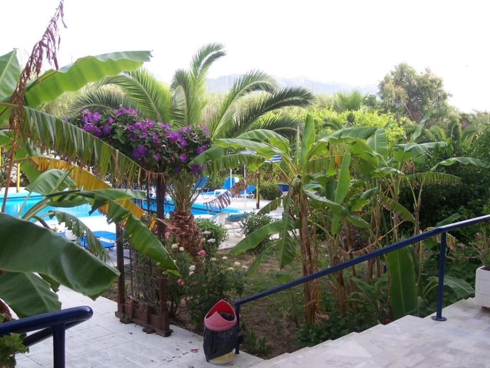 Blick zum Pool Costa Angela Seaside Resort