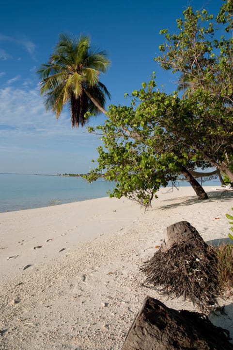 Hotelstrand Ostseite Meeru Maldives Resort Island