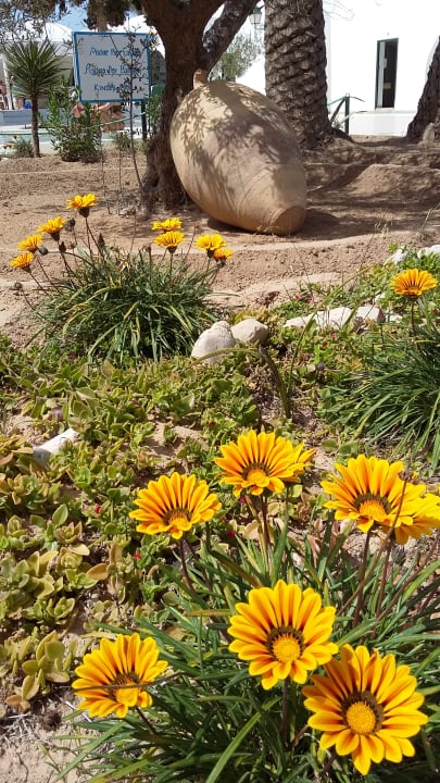 Gartenanlage Hotel Sangho Club Zarzis