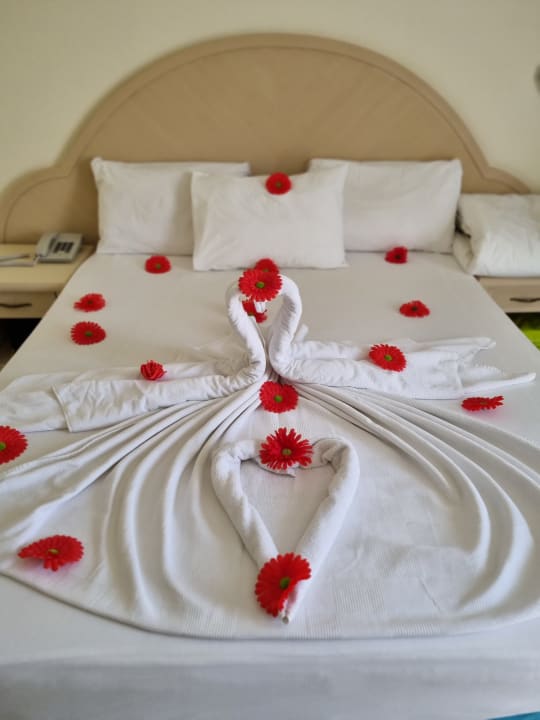Zimmer Aska Hotel Just in Beach