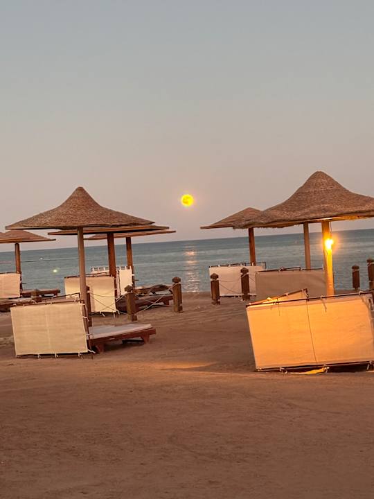 Strand Shams Prestige Abu Soma-Adults Only