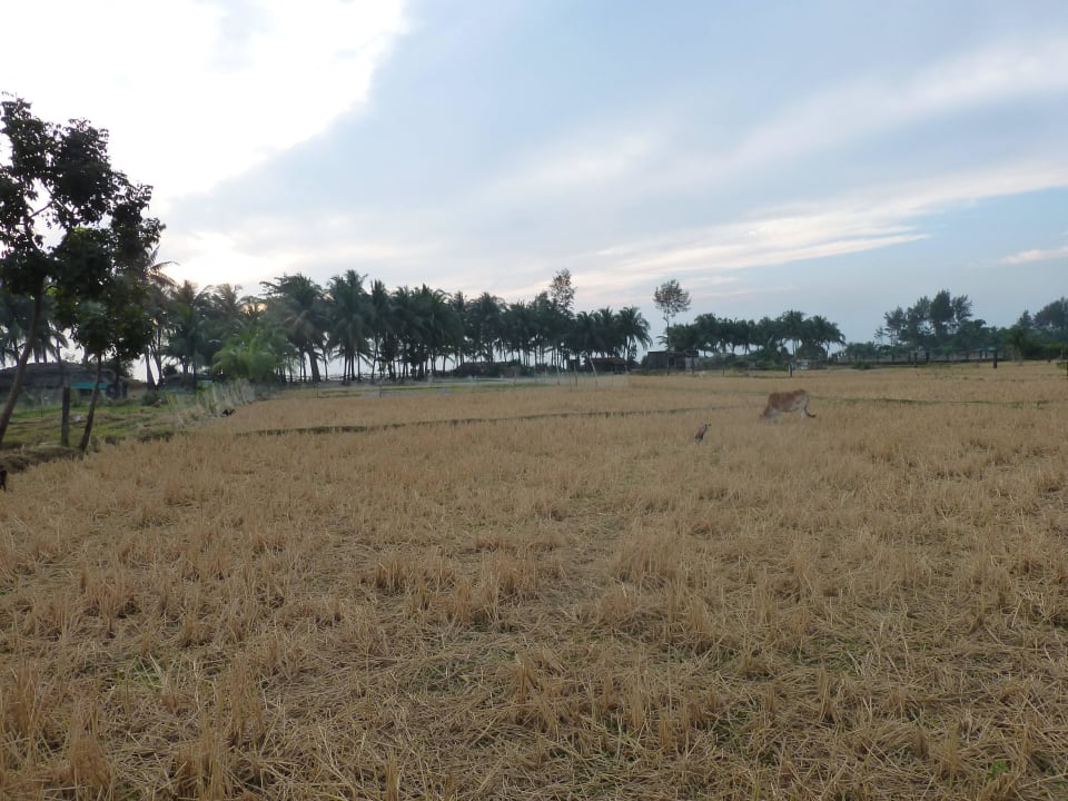 Lage weit entfernt vom Lärm Kingshuk Eco Resort Tourism