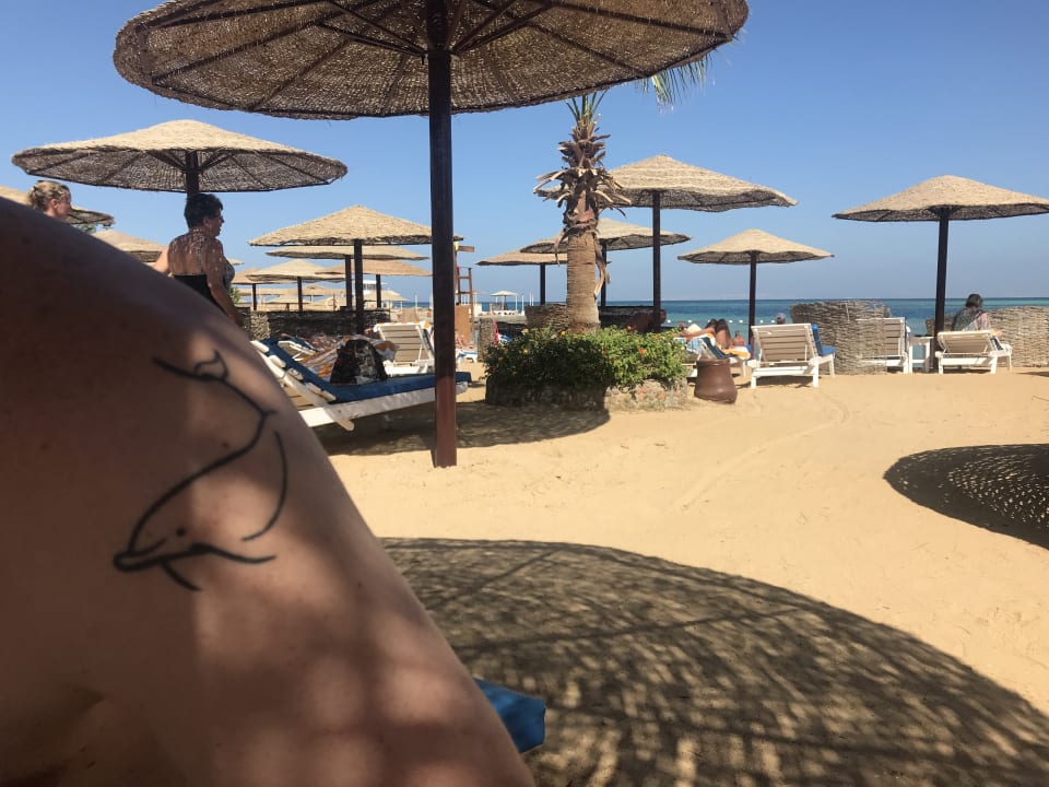 Strand Sea Star Beau Rivage