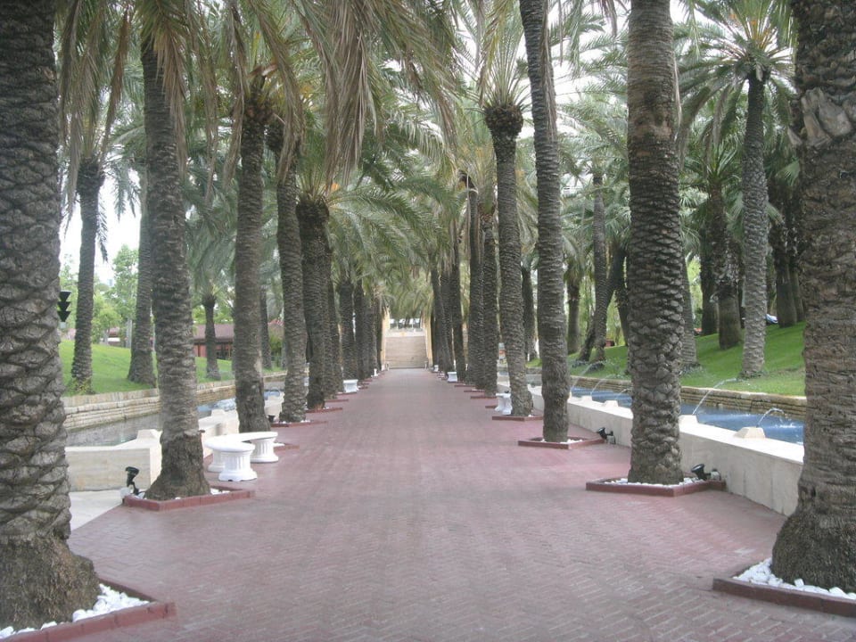 Weg vom Strand zum Hotel Monachus Family Resort Sorgun