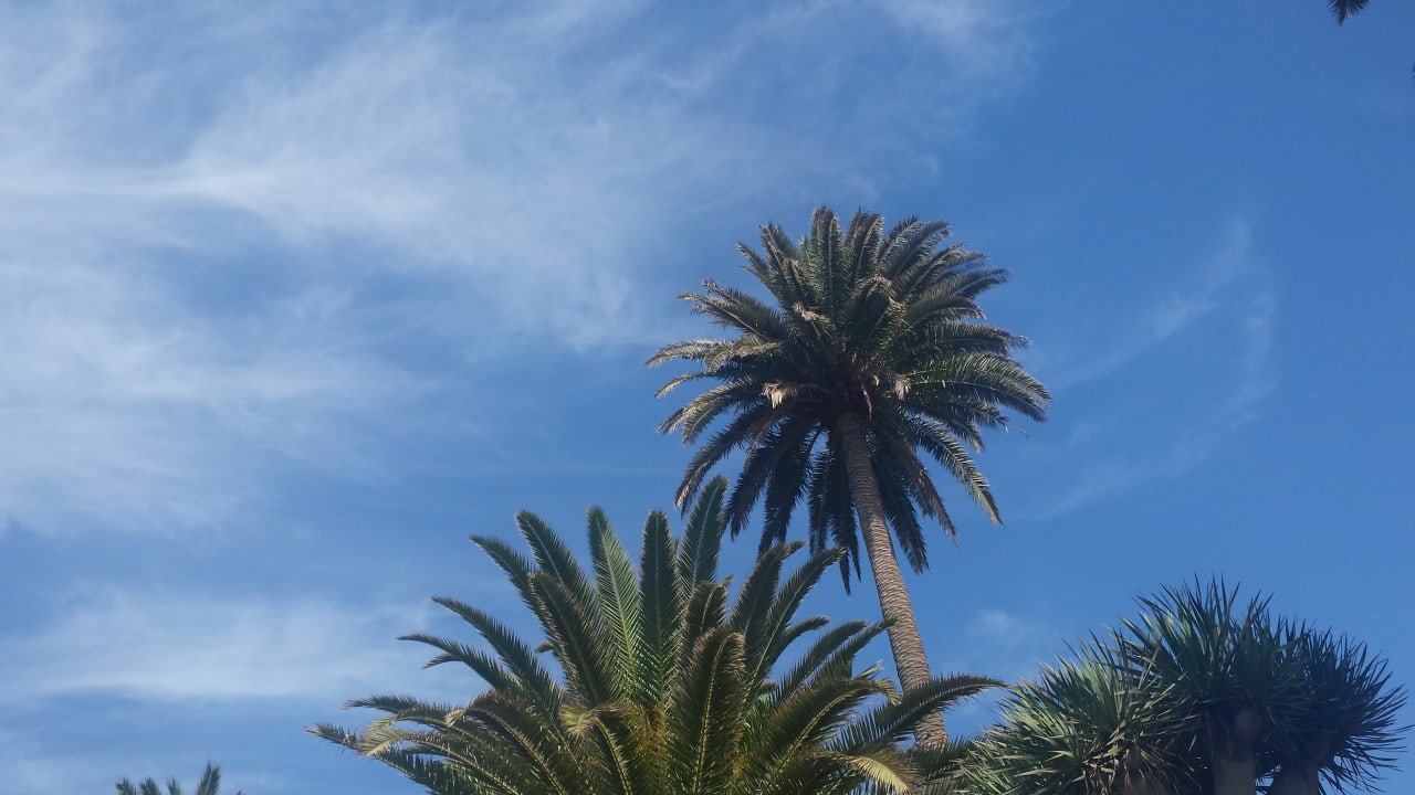 Außenansicht Bull Costa Canaria & Spa - Adults only