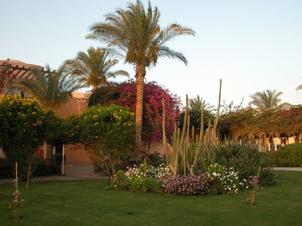 Gartenansicht Iberotel Makadi Beach