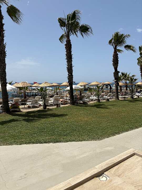 Gartenanlage Club Dizalya