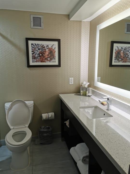 Zimmer DoubleTree by Hilton Hotel Arlington DFW South