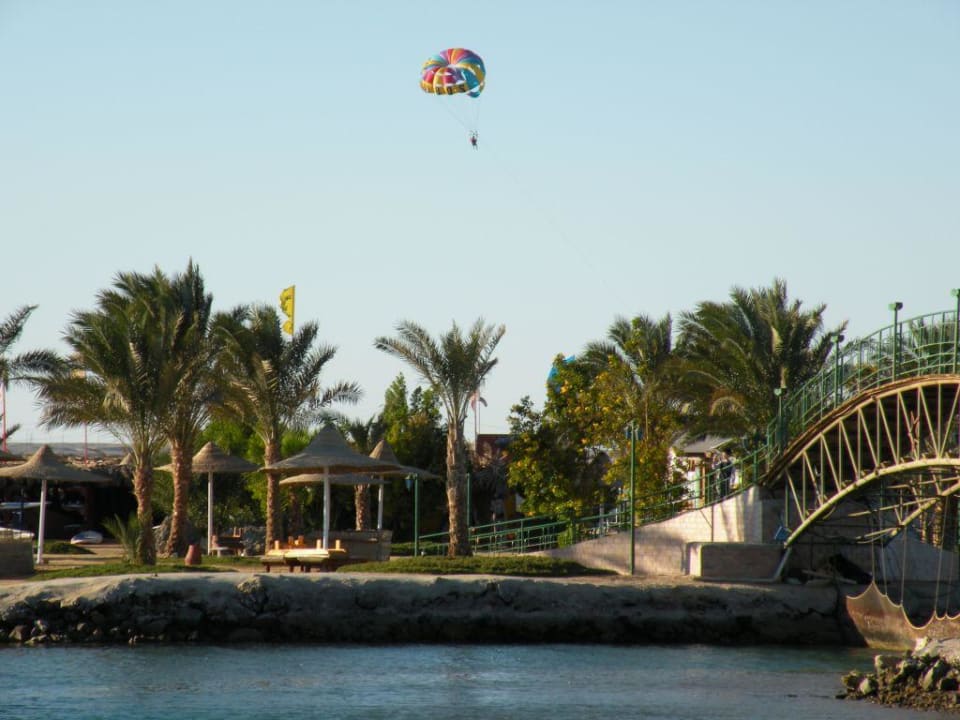 Hotel desert rose resort w hurgadzie Desert Rose