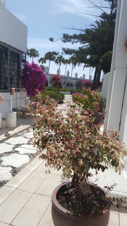 Sonstiges Sahara Beach Club