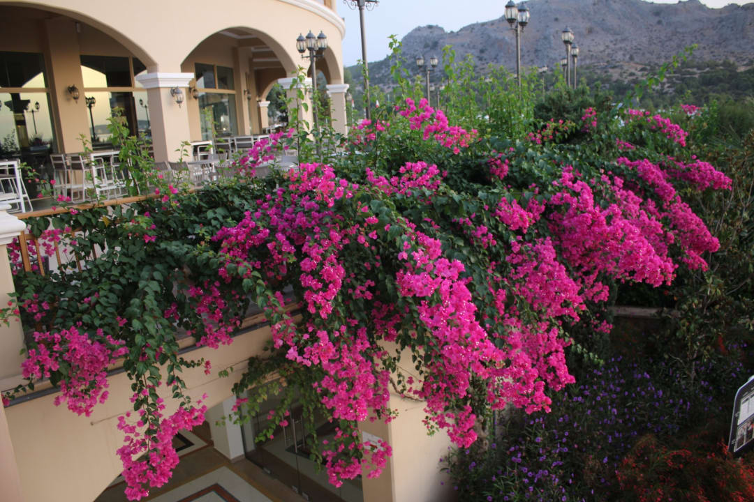 Sonstiges Lindos Imperial Resort & Spa