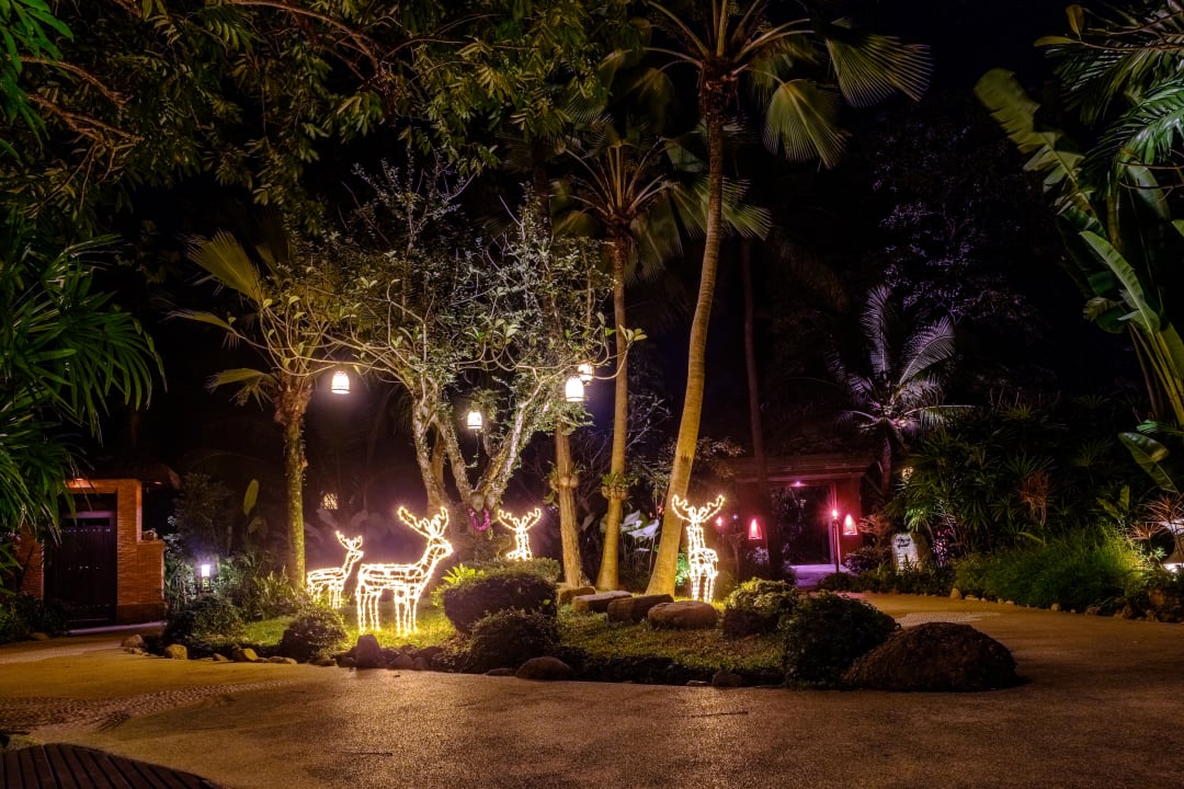 Gartenanlage Zazen Boutique Resort & Spa