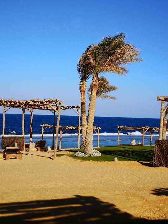 Strand Steigenberger Resort Alaya Marsa Alam - Red Sea - Adults only
