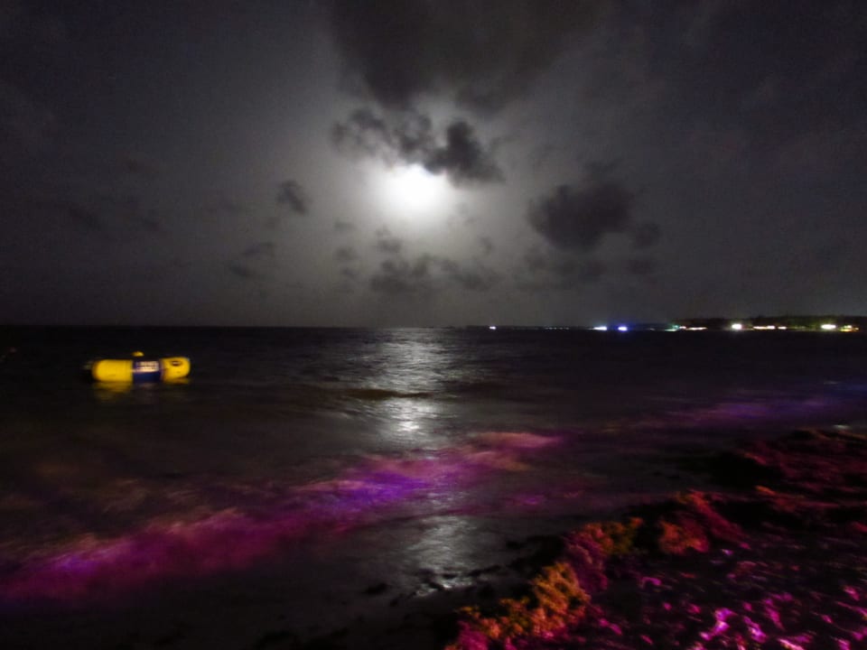 Strand bei Nacht Dreams Royal Beach Punta Cana
