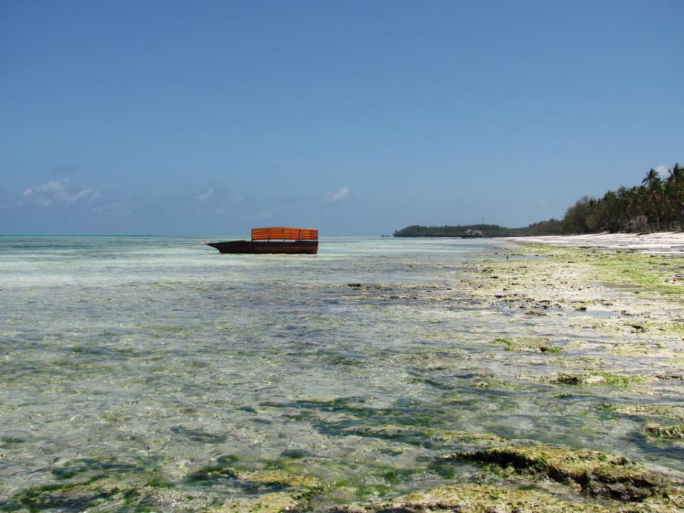 Fortbewegung auf Sansibar Karafuu Beach Resort & Spa