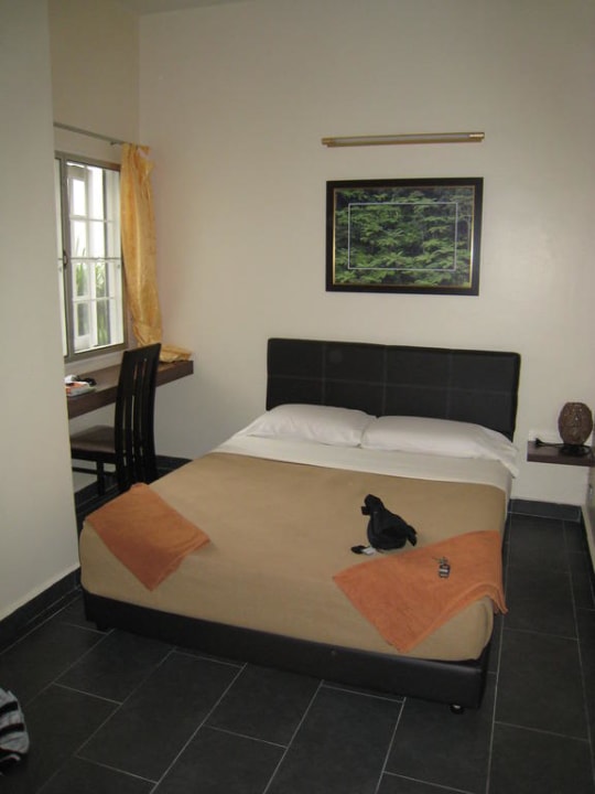 Zimmer G6 Gerard's Place