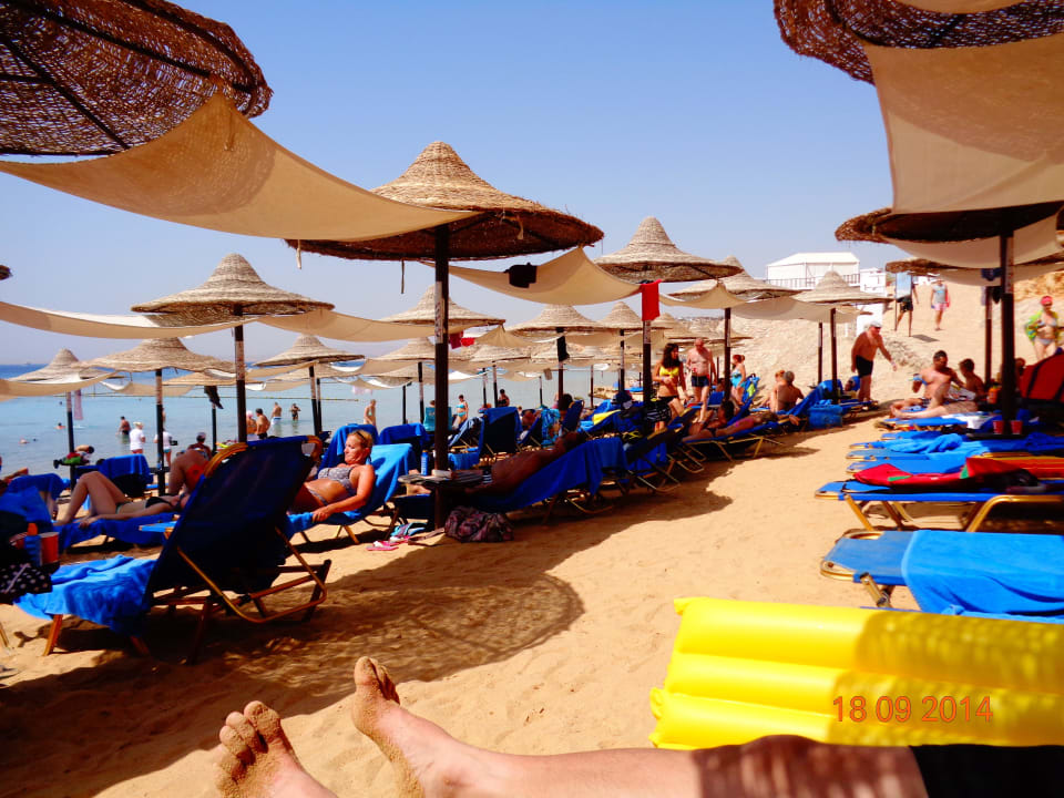  plaża JAZ Fanara Resort