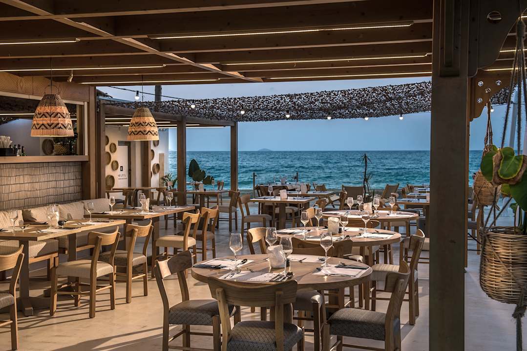 Gastro Enorme Maya Beach