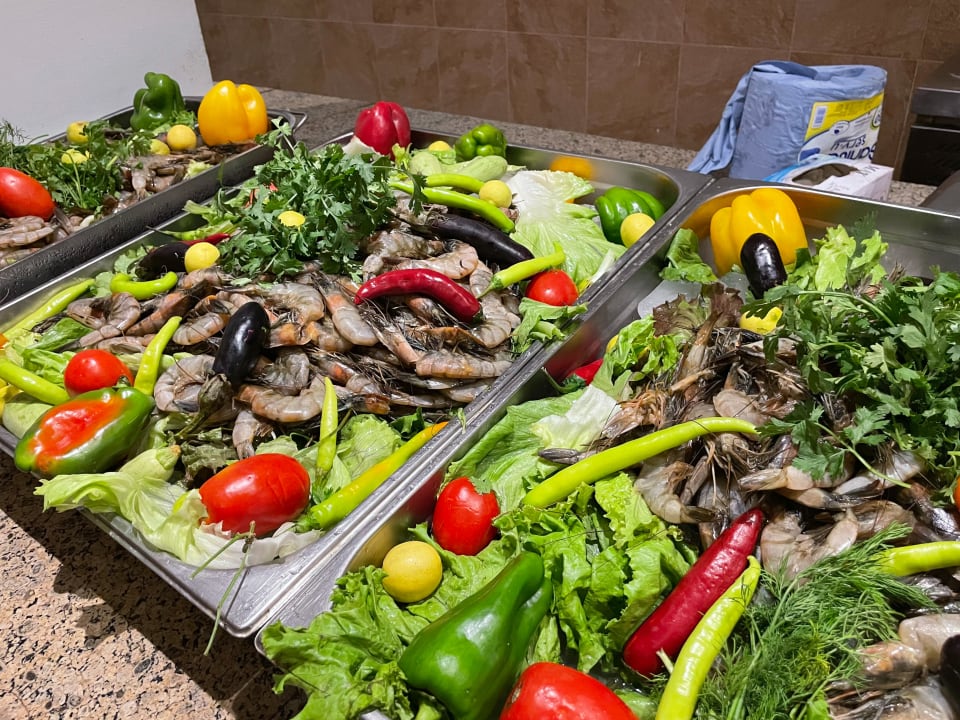 Gastro Solymar Reef Marsa