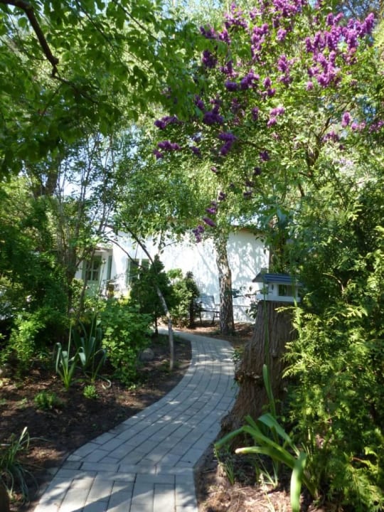 Der Weg zur feinen Laube berliner landjungs feine laube