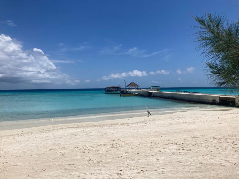 Strand Summer Island Maldives